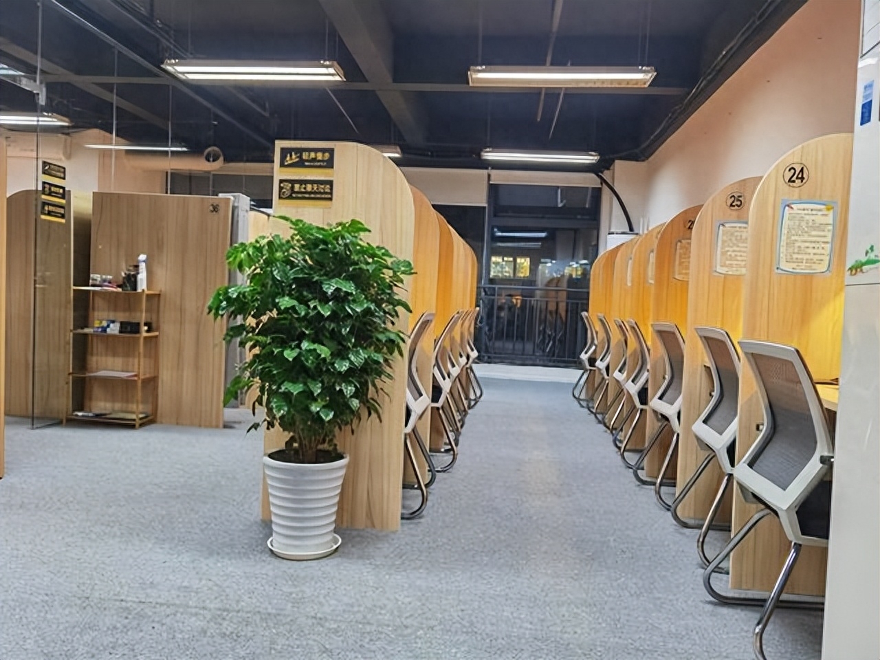大学自习室创业项目,2023年创业热门项目共享自习室生意(图2) 大学自习室创业项目,2023年创业热门项目共享自习室生意(图2)