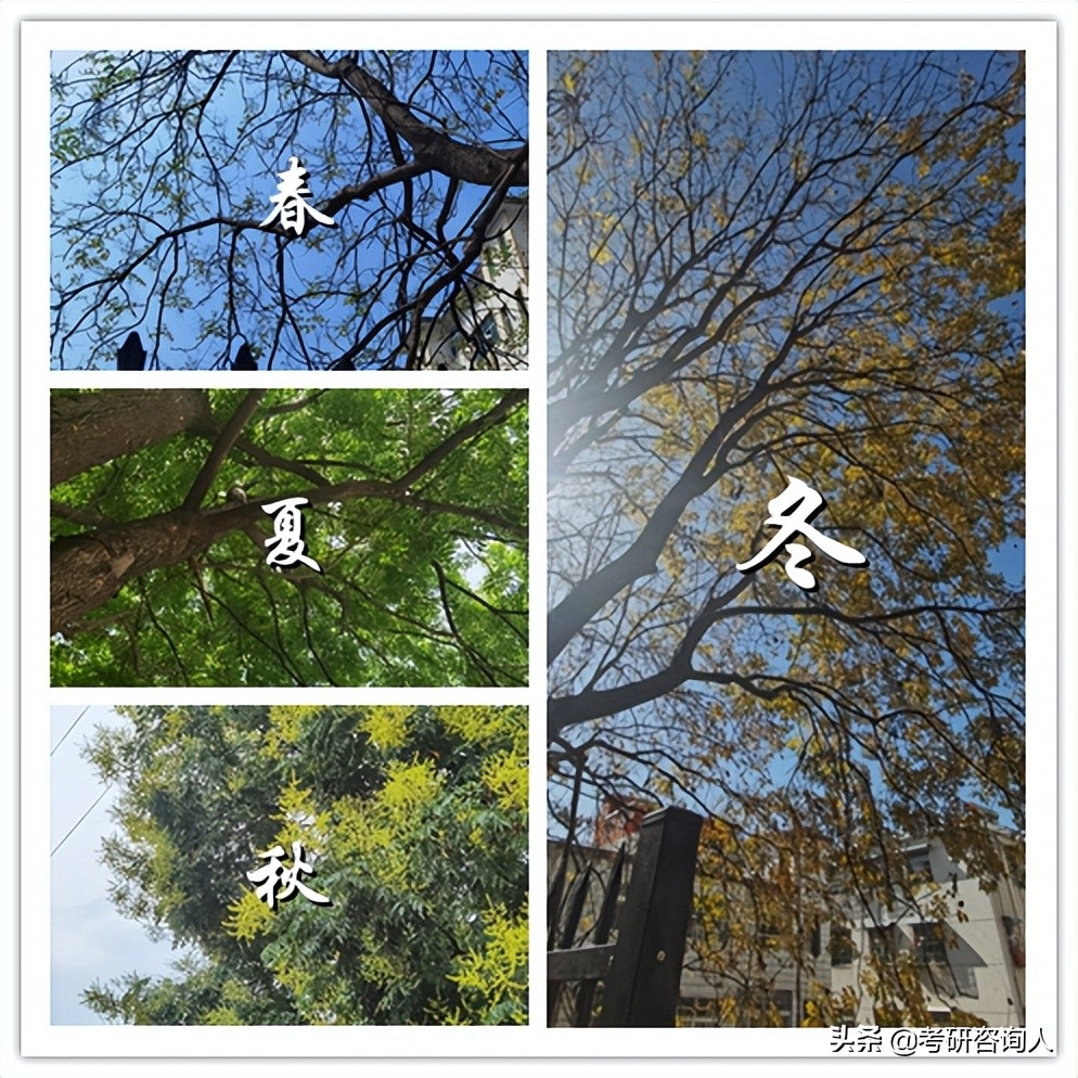 考研如何度过暑假备考期间,让你上岸少走弯路的3年考研经验分享(图5) 考研如何度过暑假备考期间,让你上岸少走弯路的3年考研经验分享(图5)