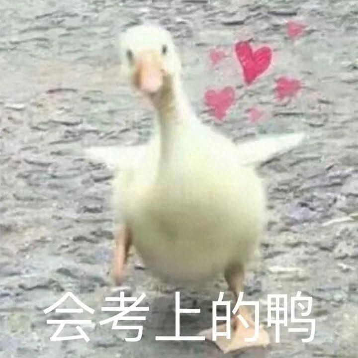 行政管理考研可以考哪些专业,24考研党必看的行管专业考研干货全攻略(图7) 行政管理考研可以考哪些专业,24考研党必看的行管专业考研干货全攻略(图7)