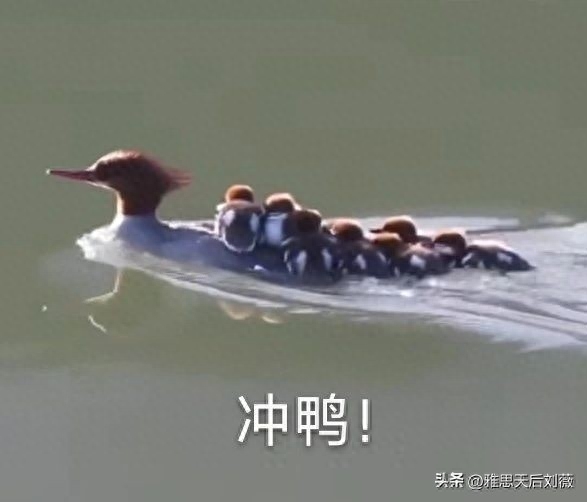 备考雅思需要几个月时间，雅思小白必须要知道的雅思常识全汇总