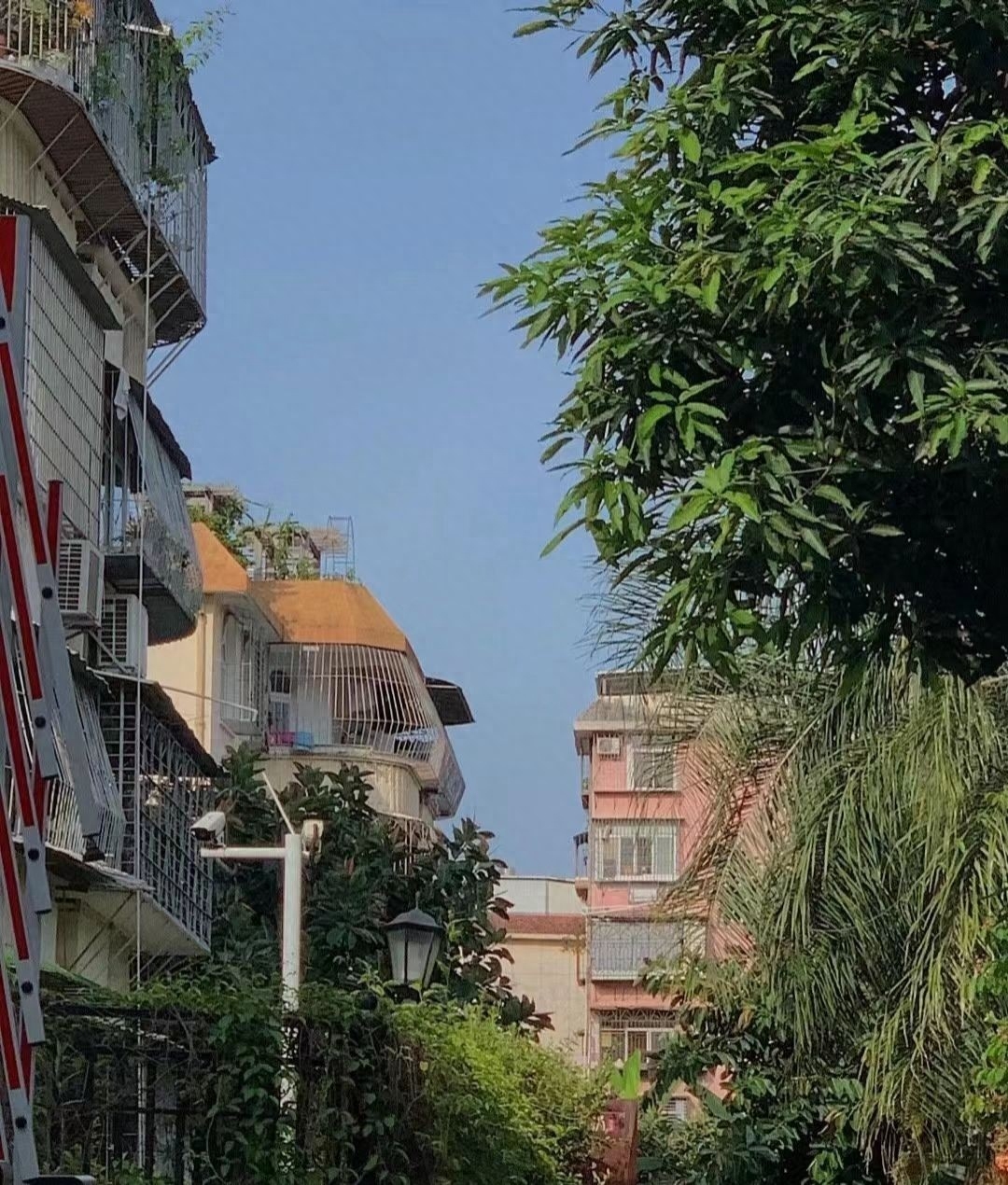 全职备考公务员值得吗需要多久,指定上岸的辞职考公备考成功经验分享(图4) 全职备考公务员值得吗需要多久,指定上岸的辞职考公备考成功经验分享(图4)