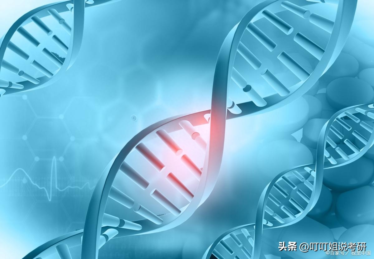 生物科学考研可以选的学校,一文说全生物学专业考研方向分数及院校推荐(图1) 生物科学考研可以选的学校,一文说全生物学专业考研方向分数及院校推荐(图1)