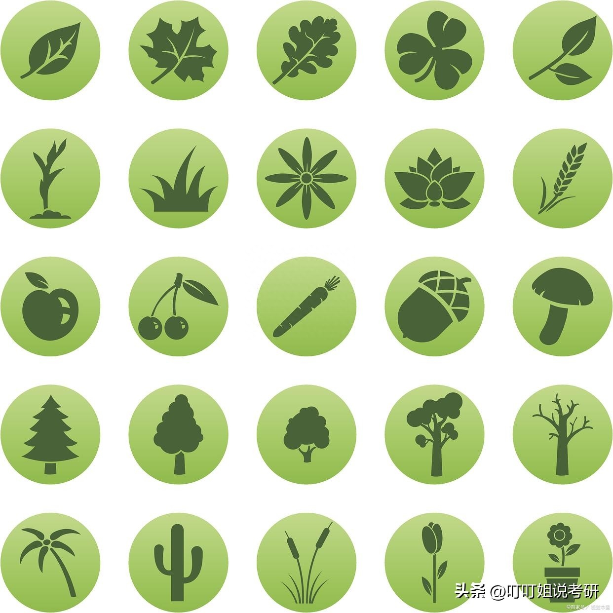 生物科学考研可以选的学校,一文说全生物学专业考研方向分数及院校推荐(图2) 生物科学考研可以选的学校,一文说全生物学专业考研方向分数及院校推荐(图2)