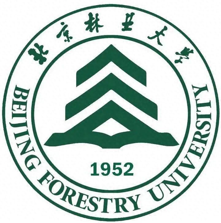 美术最容易考研的学校排名,盘点艺术设计院校考研难度分档排行前十名(图14) 美术最容易考研的学校排名,盘点艺术设计院校考研难度分档排行前十名(图14)