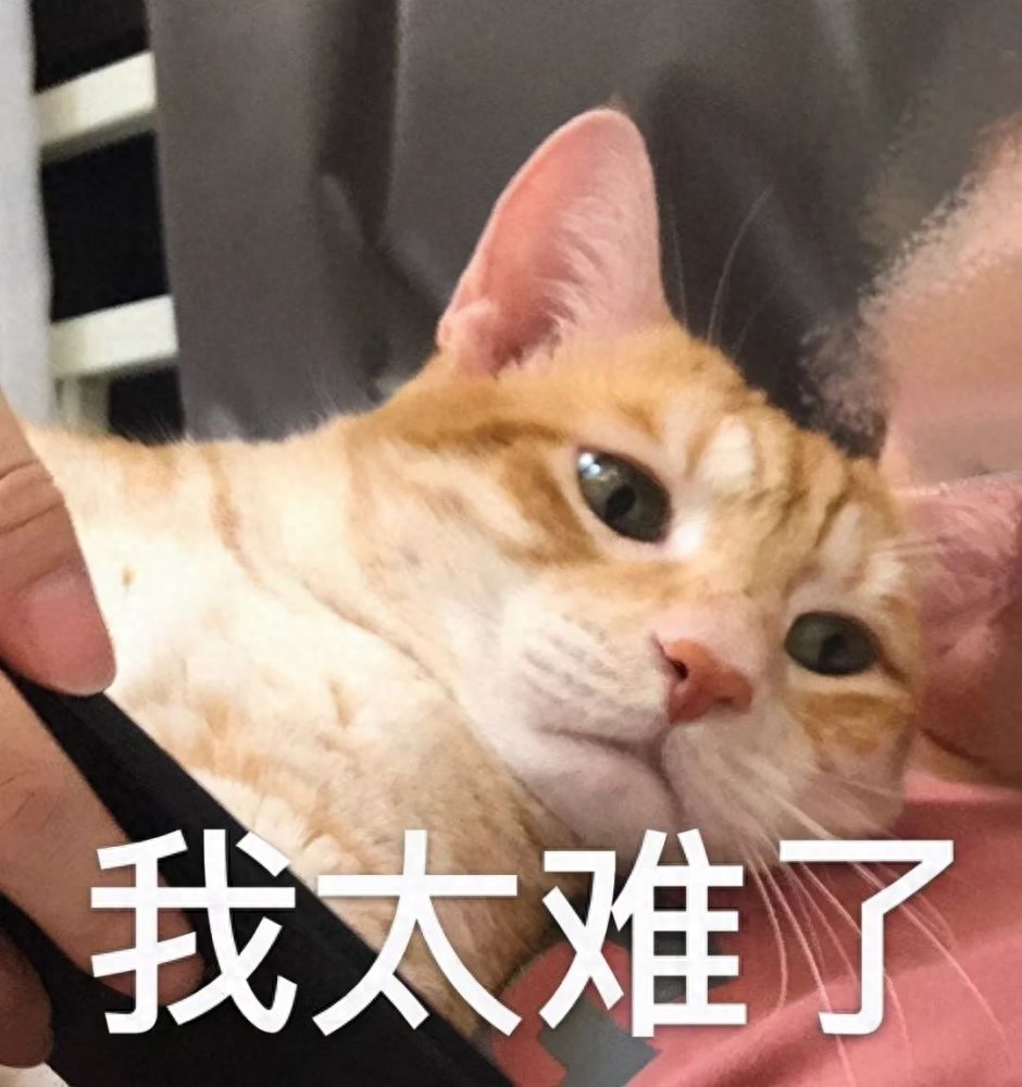 考研考场上每个人卷子一样吗,揭秘研究生考试考场规则附拆密封图解(图3) 考研考场上每个人卷子一样吗,揭秘研究生考试考场规则附拆密封图解(图3)