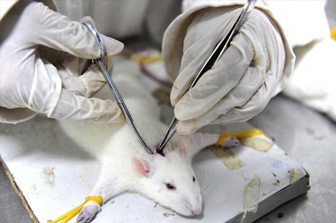 生物医学工程考研出来能干嘛,就业前景好的生物学研究生专业方向(图2) 生物医学工程考研出来能干嘛,就业前景好的生物学研究生专业方向(图2)