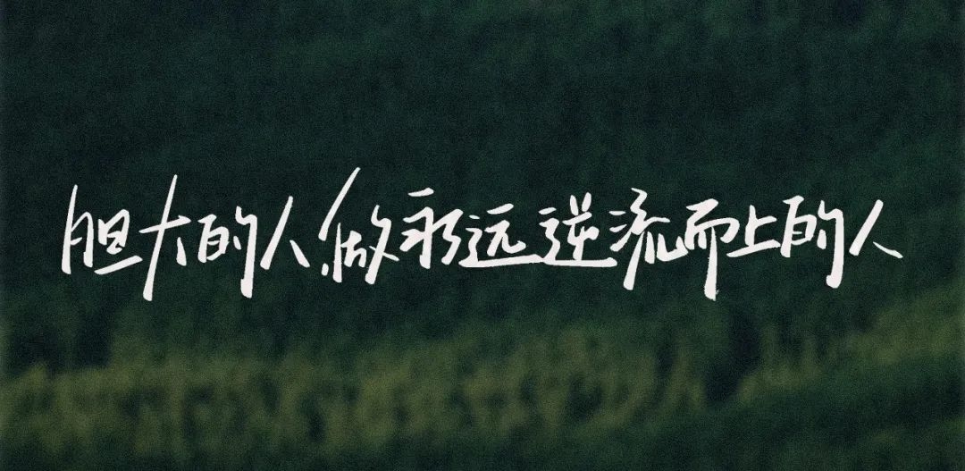 考研强化阶段什么时候开始，24考研9月强化阶段复习任务一览表(图1)