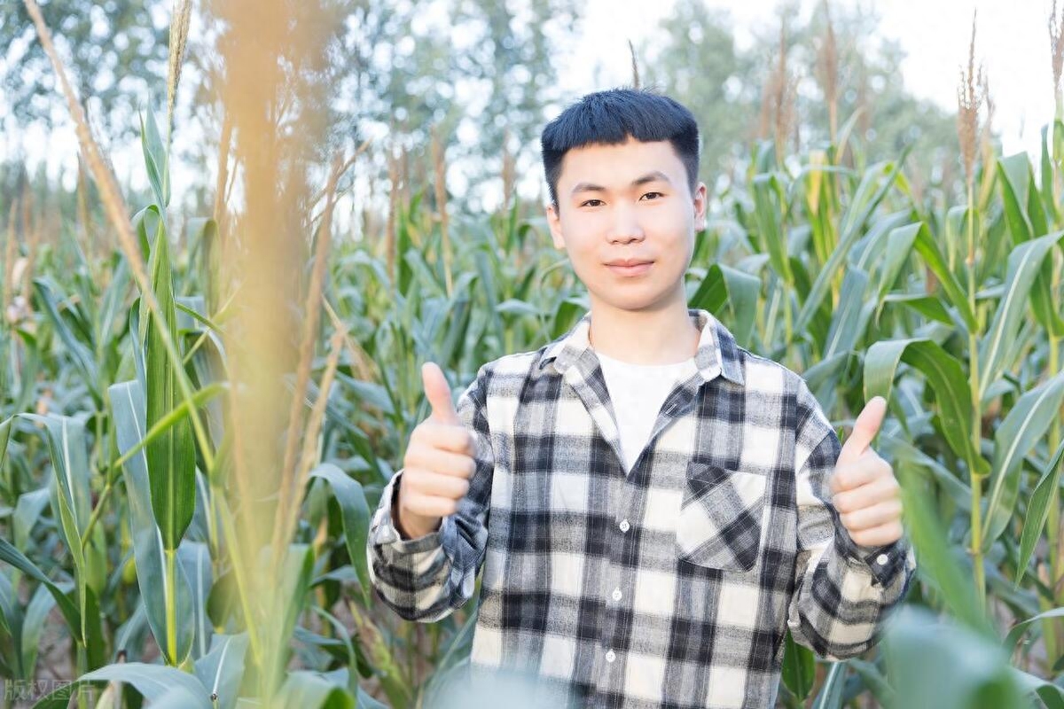 公务员什么单位最好考,少数人知道公考最容易上岸的5个单位盘点(图4) 公务员什么单位最好考,少数人知道公考最容易上岸的5个单位盘点(图4)