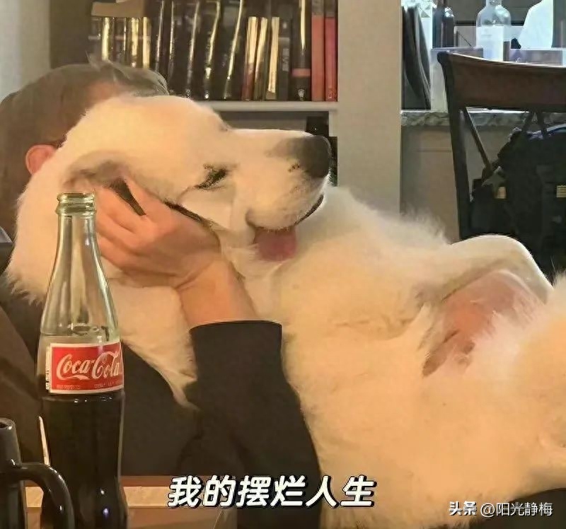 大学毕业很迷茫不知道做什么工作,破解毕业找工作迷茫的2个实用办法(图6) 大学毕业很迷茫不知道做什么工作,破解毕业找工作迷茫的2个实用办法(图6)