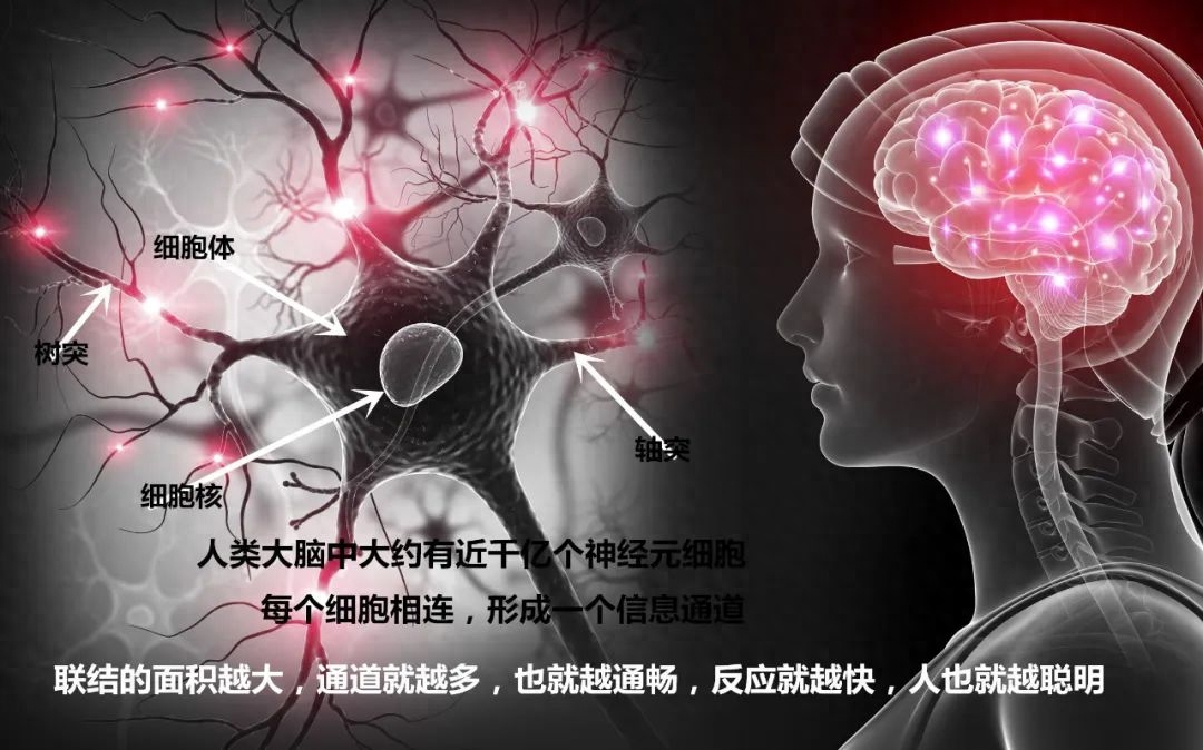 好的学习方法,提高学习成绩最权威最有效的方法(图1) 好的学习方法,提高学习成绩最权威最有效的方法(图1)