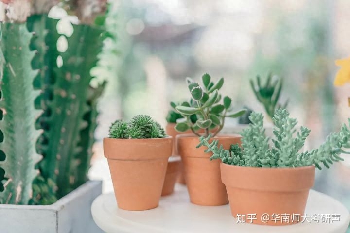 考研英语如何备考,不看后悔!考研英语复习经验分享(图2) 考研英语如何备考,不看后悔!考研英语复习经验分享(图2)