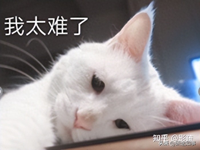大专考研难度有多高,专科生考研难的6条主要原因(图1) 大专考研难度有多高,专科生考研难的6条主要原因(图1)