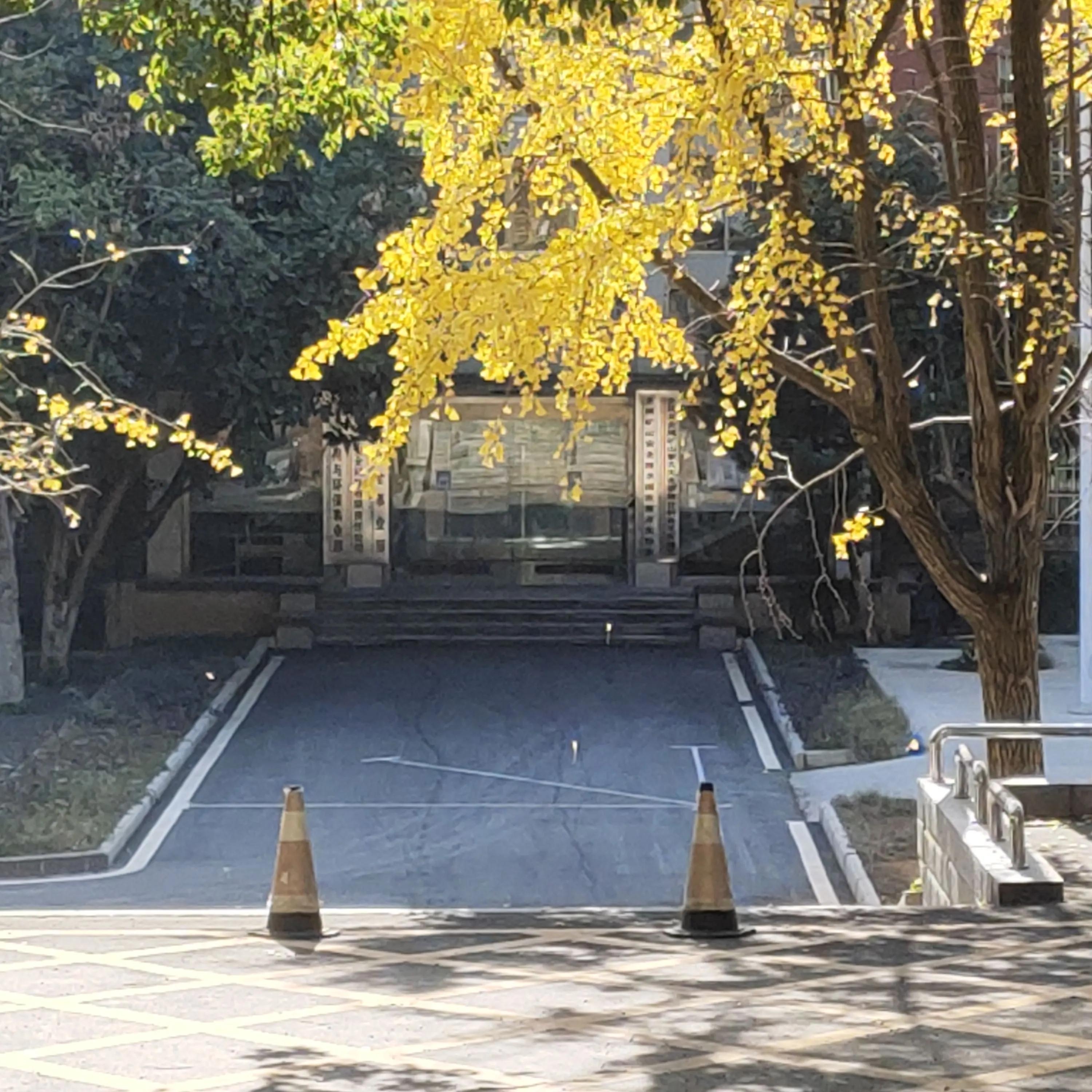 考研数学国家线一般是多少分,2023年考研国家线新鲜出炉(图2) 考研数学国家线一般是多少分,2023年考研国家线新鲜出炉(图2)