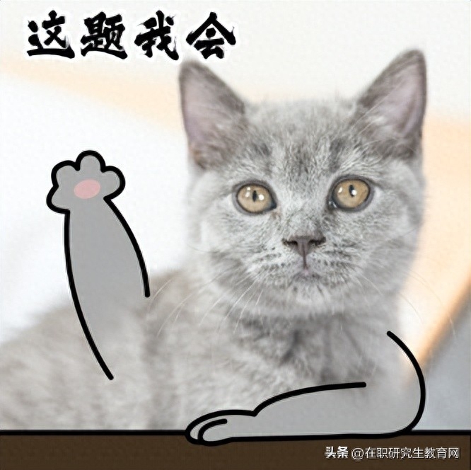 经济学考研可以考哪些专业,经济学考研选择适合自己的细分专业指南(图1) 经济学考研可以考哪些专业,经济学考研选择适合自己的细分专业指南(图1)