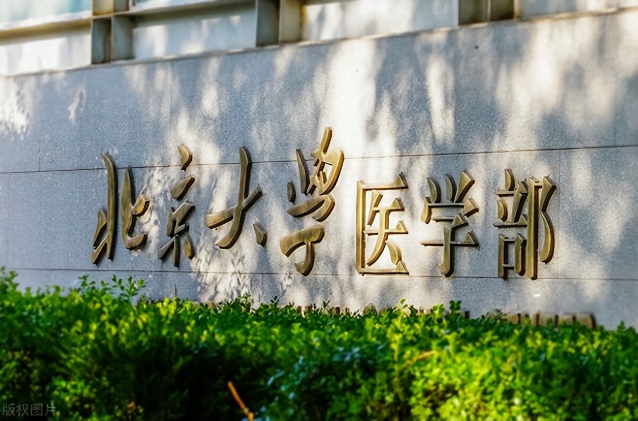 适合考研的专业有哪些,大学期间适合考研的6大本科专业(图3) 适合考研的专业有哪些,大学期间适合考研的6大本科专业(图3)