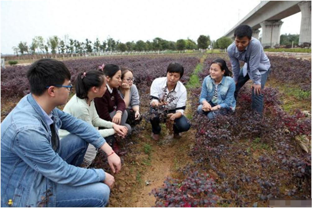 考研什么条件可以加分,考研各项加分政策的详细解读(图7) 考研什么条件可以加分,考研各项加分政策的详细解读(图7)