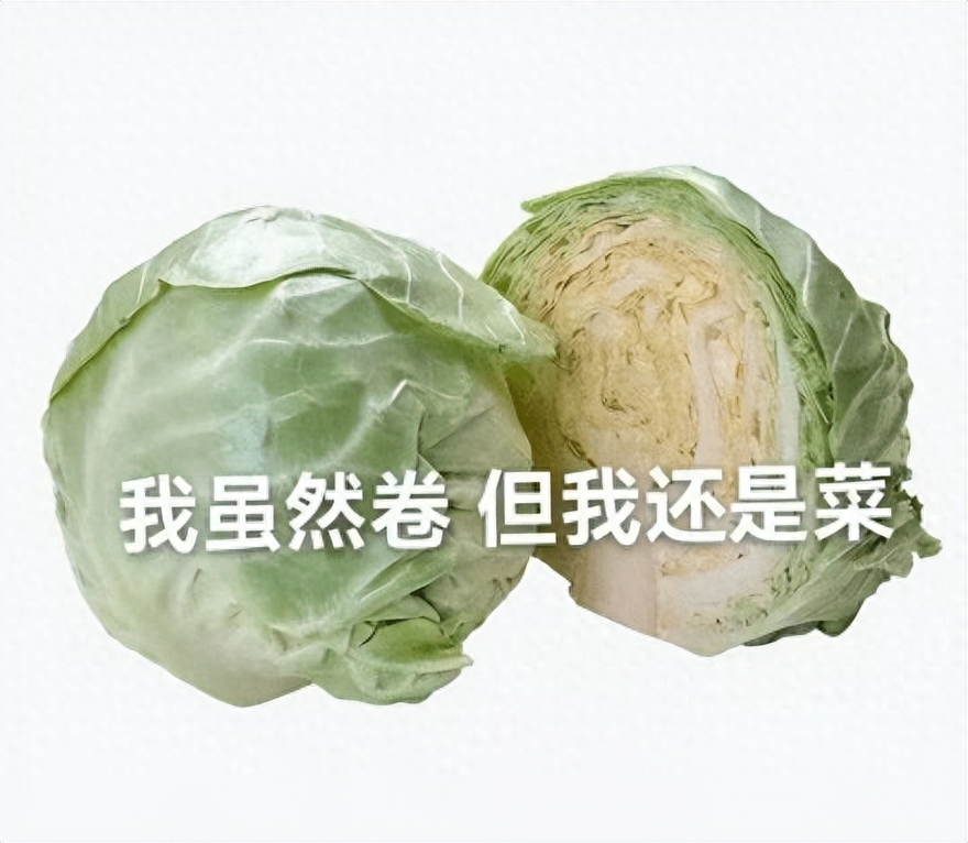 考研英语准备顺序,一篇帮你梳理清楚考研英语的准备方法(图1) 考研英语准备顺序,一篇帮你梳理清楚考研英语的准备方法(图1)