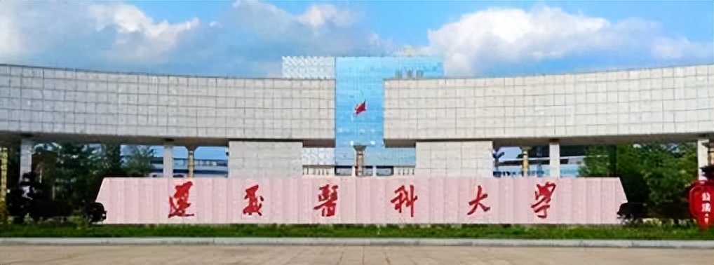 护理考研院校排名,护理考研招生较多分数线又低的院校盘点(图8) 护理考研院校排名,护理考研招生较多分数线又低的院校盘点(图8)