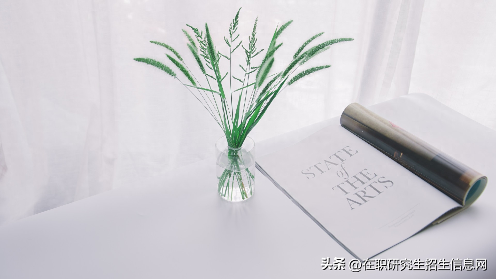 法学在职研究生哪个学校好考,法学专业在职研究生招生院校汇总(图1) 法学在职研究生哪个学校好考,法学专业在职研究生招生院校汇总(图1)