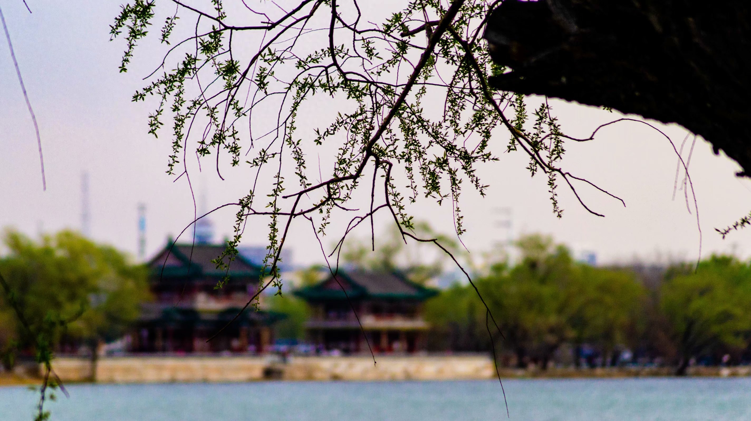 湖北考研院校排名,最新湖北省研究生院排行榜TOP10(图1) 湖北考研院校排名,最新湖北省研究生院排行榜TOP10(图1)