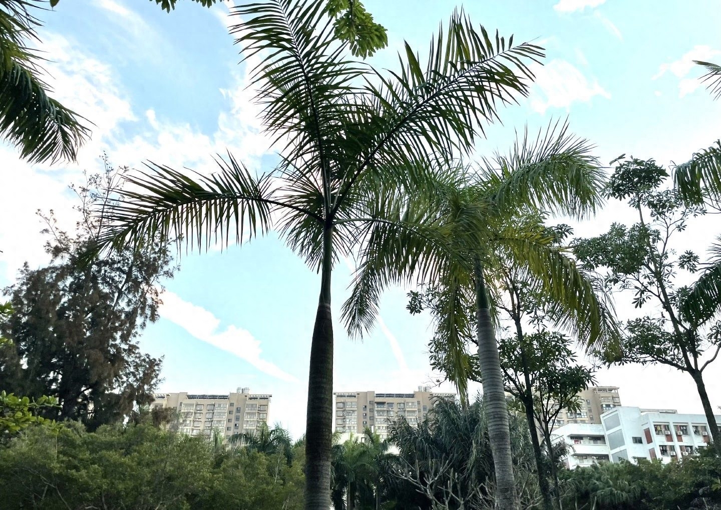 异地报考研究生需要什么条件，往届生非本地报考各省市需要条件分享(图3)