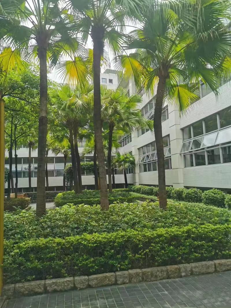 考研作文素材怎么积累，考研的必备！快速积累写作素材的三个诀窍(图1)