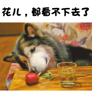 考研树立自信心,分享树立考研自信心的3个方法(图1) 考研树立自信心,分享树立考研自信心的3个方法(图1)