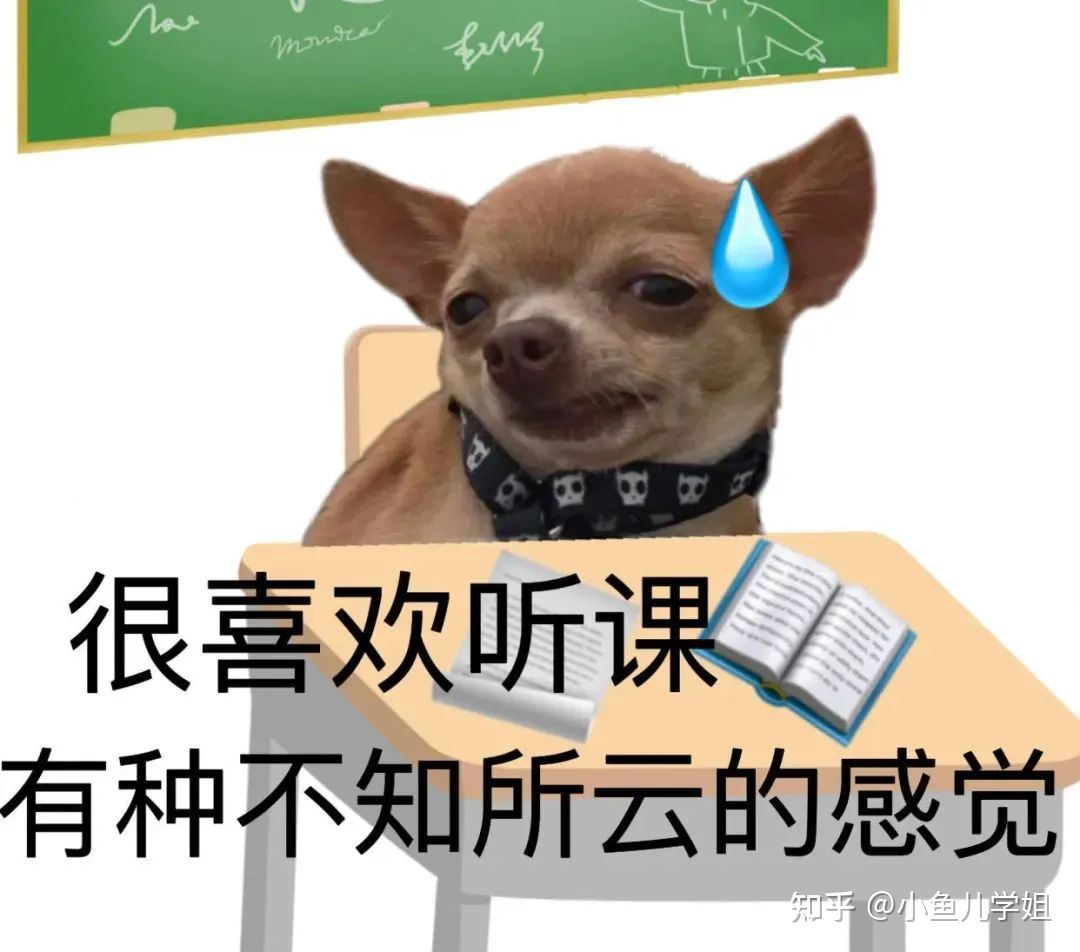 注册会计师考试辅导书推荐，上岸学姐分享备考注会必买的资料推荐