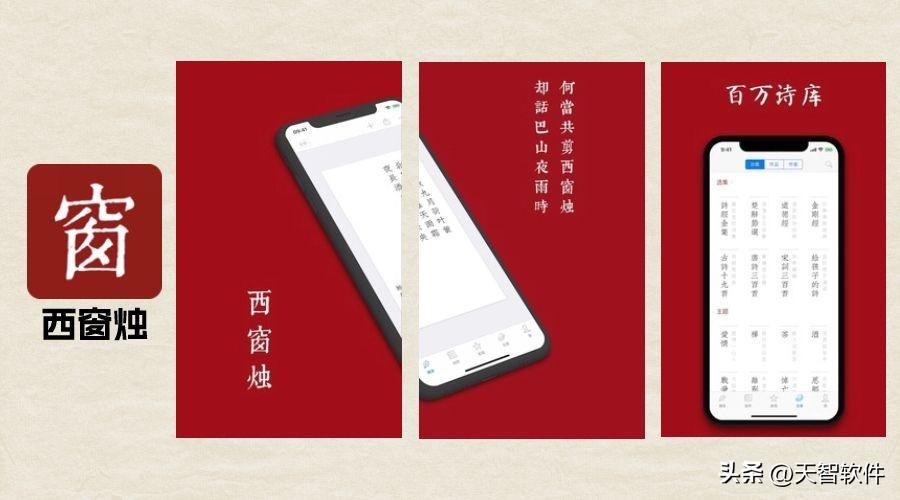 有哪些学语文的好软件，7款不能错过的语文学习app推荐附下载地址(图7)