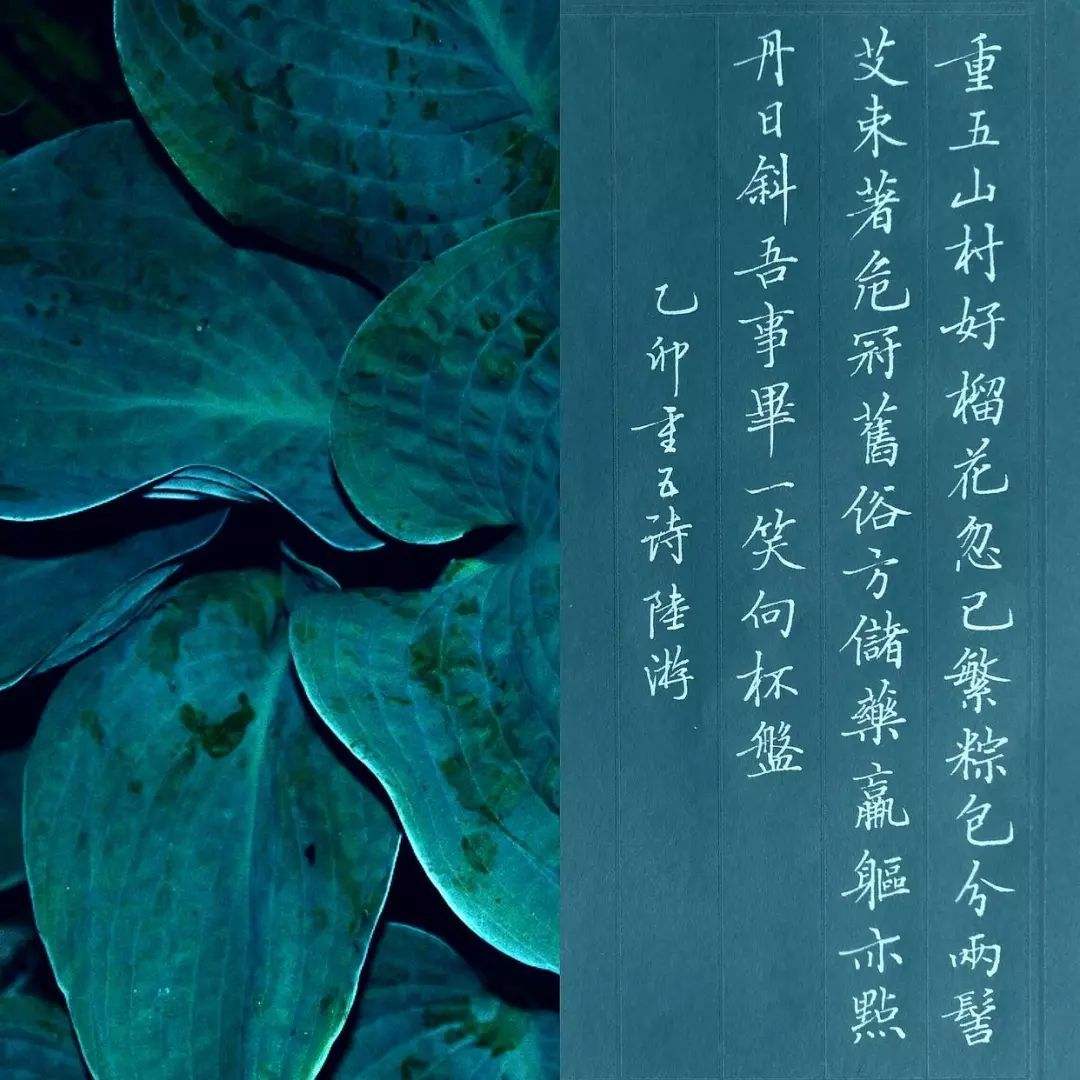 适合文科生的软件有哪些,分享5款适合大学文科生的宝藏软件(图9) 适合文科生的软件有哪些,分享5款适合大学文科生的宝藏软件(图9)