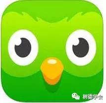 有什么好的自学英语的软件，英语学习必看！7个超好用的语言学习APP推荐