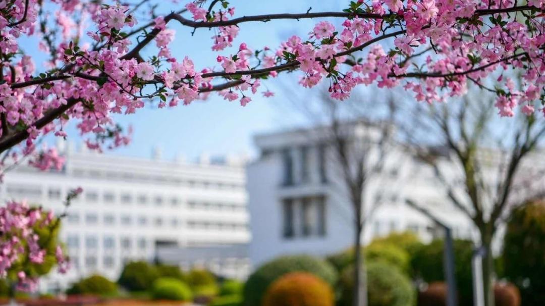 上海大学研究生录取分数线2023,上海大学2023年硕士研究生招生复试分数线解析(图2) 上海大学研究生录取分数线2023,上海大学2023年硕士研究生招生复试分数线解析(图2)