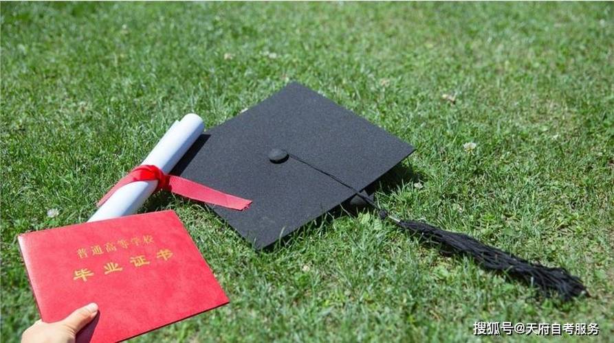 研究生课程和本科课程的区别，本科课程和硕士课程的8个区别分析(图2)