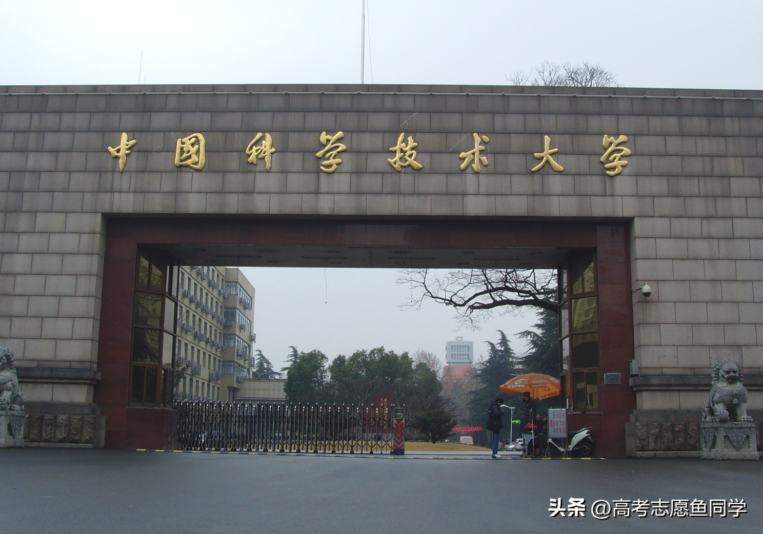 考研不压分的大学有哪些,盘点考研很公平的10所大学院校(图5) 考研不压分的大学有哪些,盘点考研很公平的10所大学院校(图5)