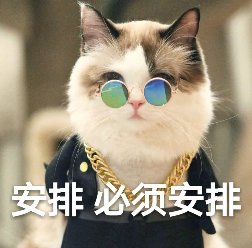 考研性价比高的大学有哪些，生物学考研性价比极高的院校推荐