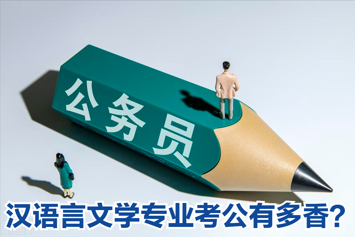 汉语言文学考公务员能报什么岗位，汉语言文学考公的岗位选择和优势解析