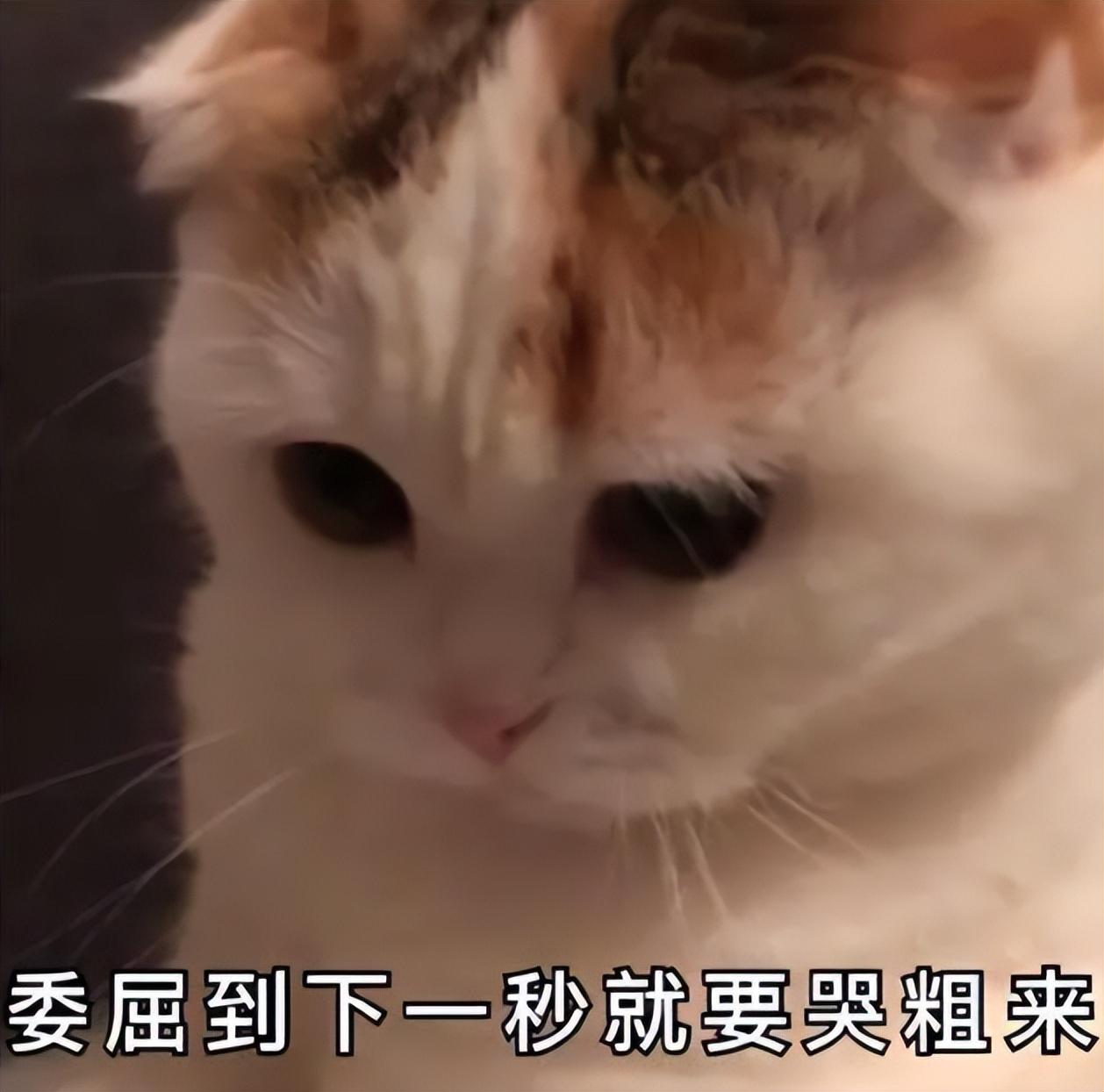河北公考有多难考呀,各个地区的公考难度排行榜(图4) 河北公考有多难考呀,各个地区的公考难度排行榜(图4)
