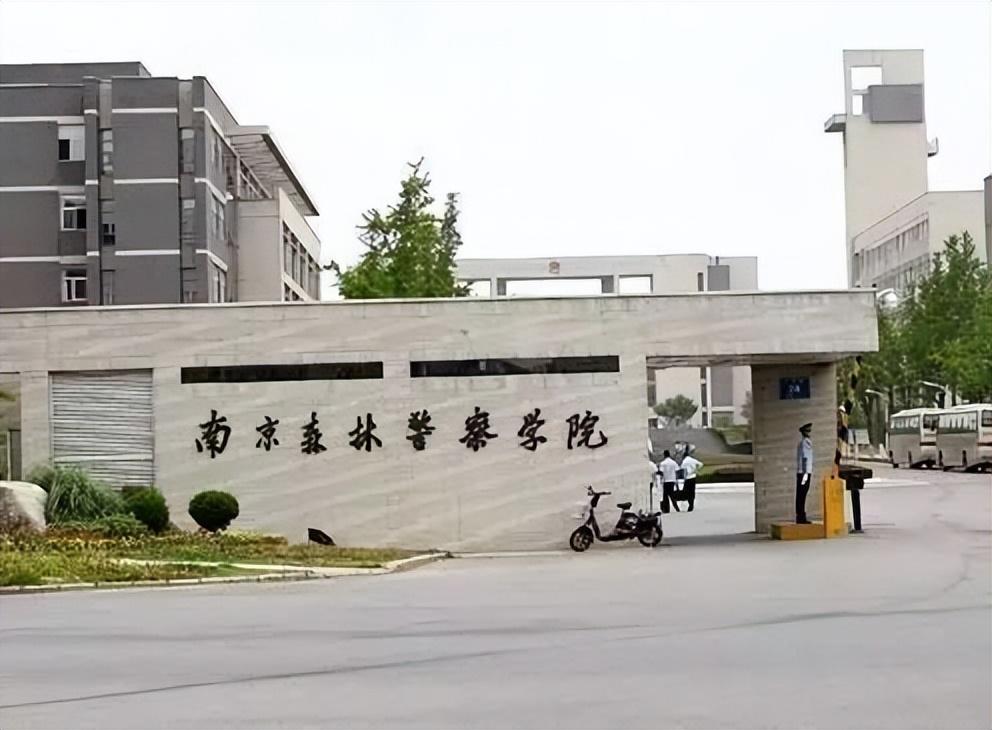 考公务员需要考什么专业,想考公务员须知的2大行业专业和10大通用专业(图1) 考公务员需要考什么专业,想考公务员须知的2大行业专业和10大通用专业(图1)