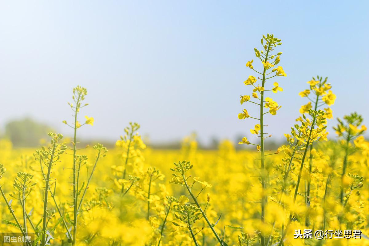 公务员考试如何调整心态,公务员考试的心态调整大法(图2) 公务员考试如何调整心态,公务员考试的心态调整大法(图2)