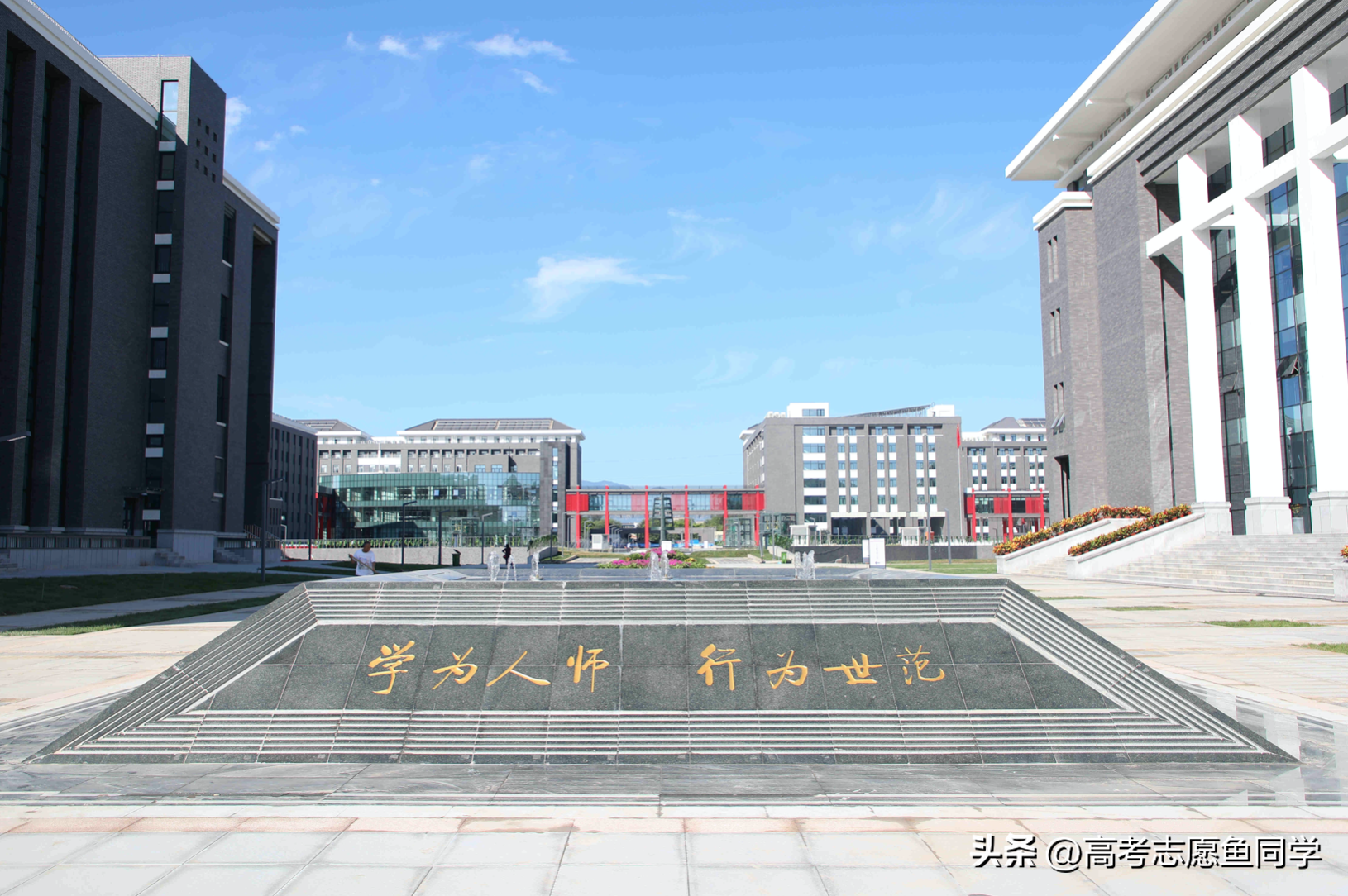 会计考研难度大吗,考研竞争最激烈最难的5个专业(图2) 会计考研难度大吗,考研竞争最激烈最难的5个专业(图2)