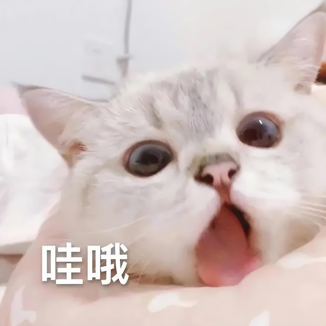 实用的考研软件，快快get！超实用的考研学习软件推荐