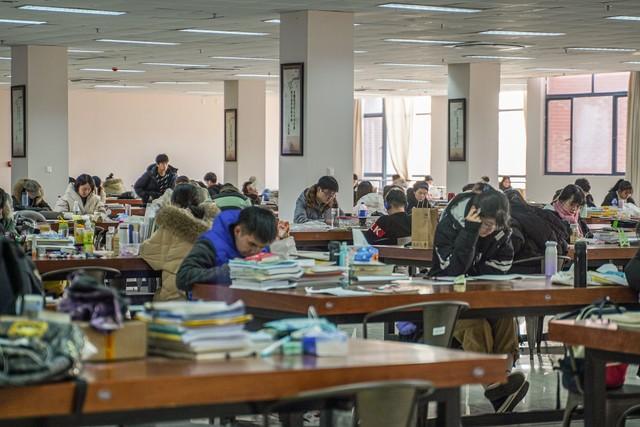 考研选择学校和专业的技巧,多维度分析助你选出合适的考研学校和专业(图2) 考研选择学校和专业的技巧,多维度分析助你选出合适的考研学校和专业(图2)