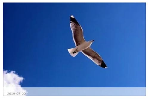 创业者的分类有哪些,创业者的四种类型及其特点(图4) 创业者的分类有哪些,创业者的四种类型及其特点(图4)