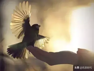 合伙生意怎么样做才能长久,合伙做生意长久的十大原则(图4) 合伙生意怎么样做才能长久,合伙做生意长久的十大原则(图4)