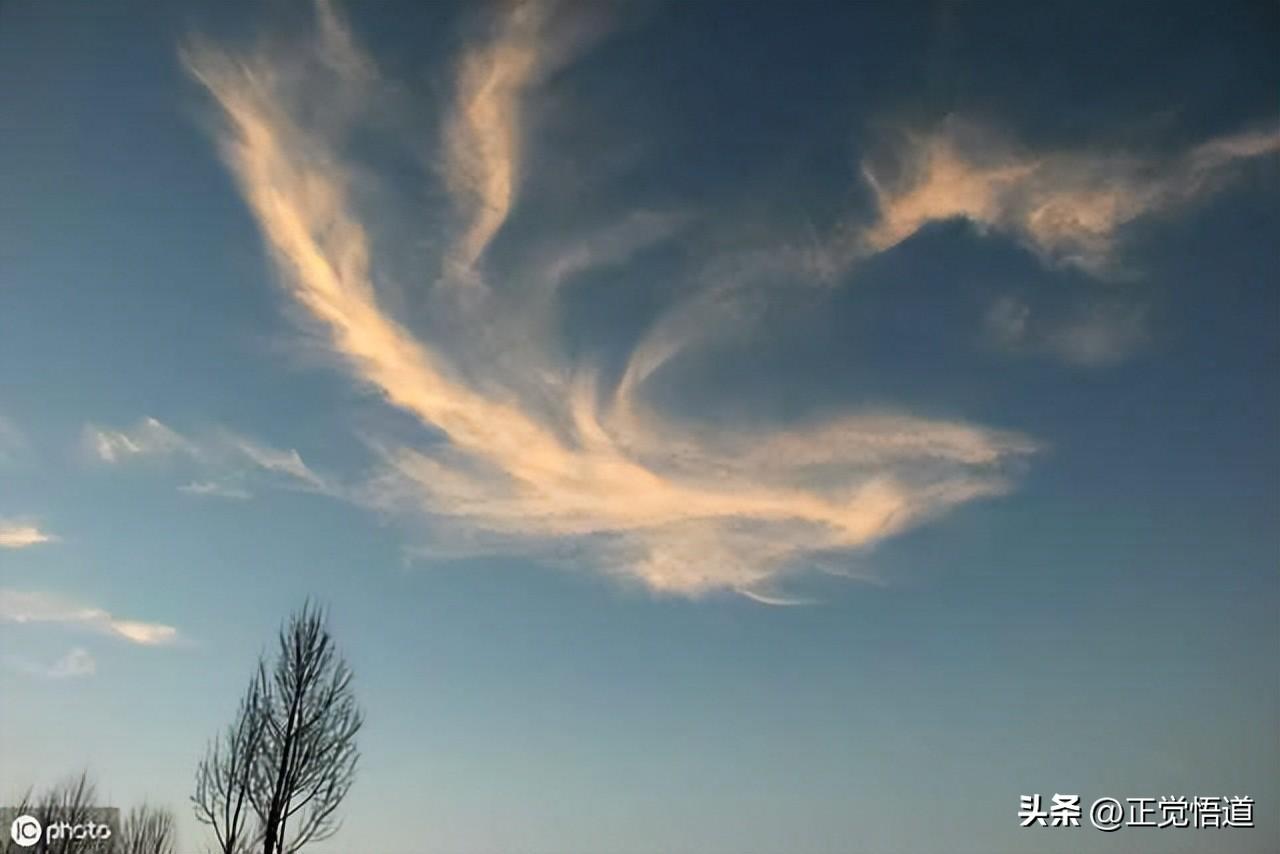 怎样的人适合创业呢,盘点16种最适合创业的人群(图3) 怎样的人适合创业呢,盘点16种最适合创业的人群(图3)