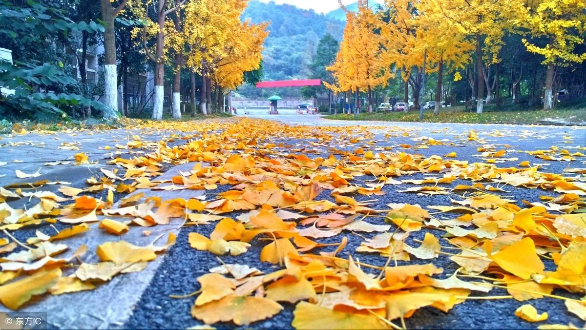 创业的常见困惑有哪些,创业者困惑时期的几点建议(图4) 创业的常见困惑有哪些,创业者困惑时期的几点建议(图4)